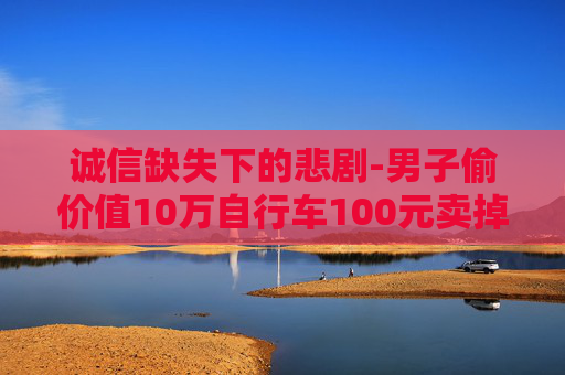 诚信缺失下的悲剧-男子偷价值10万自行车100元卖掉犯法吗