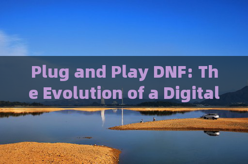 Plug and Play DNF: The Evolution of a Digital Game-dnf plu团子 剑魂谜团