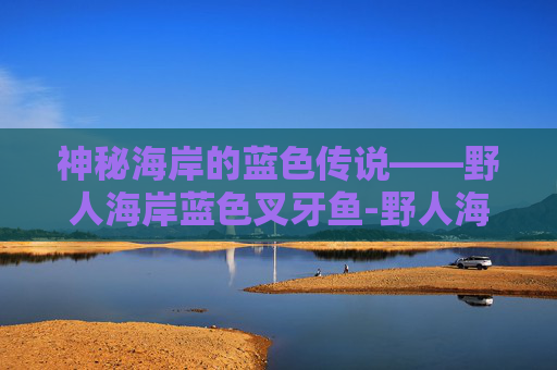 神秘海岸的蓝色传说——野人海岸蓝色叉牙鱼-野人海岸蓝色叉牙鱼在哪里钓