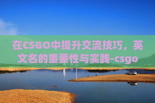 在CSGO中提升交流技巧，英文名的重要性与实践-csgo 英文交流