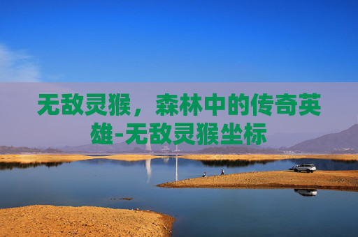 无敌灵猴，森林中的传奇英雄-无敌灵猴坐标