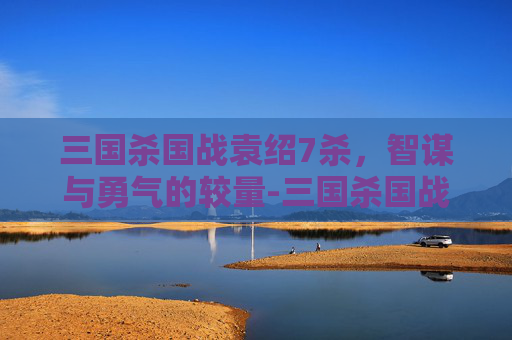 三国杀国战袁绍7杀，智谋与勇气的较量-三国杀国战袁绍7杀多少钱
