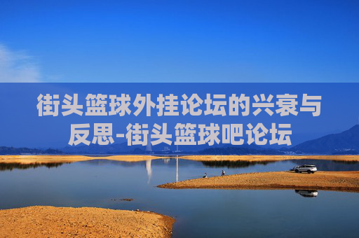 街头篮球外挂论坛的兴衰与反思-街头篮球吧论坛