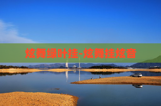 炫舞绿叶挂-炫舞挂炫音