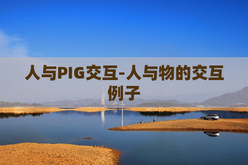 人与PIG交互-人与物的交互例子
