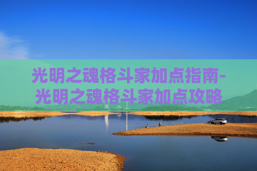 光明之魂格斗家加点指南-光明之魂格斗家加点攻略