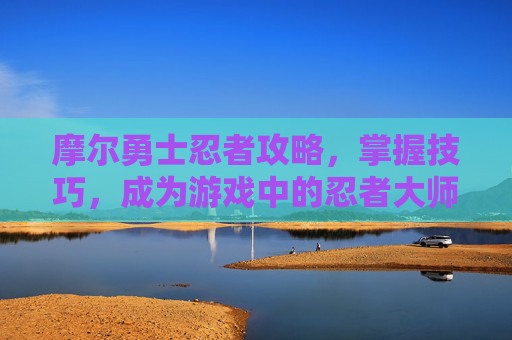 摩尔勇士忍者攻略，掌握技巧，成为游戏中的忍者大师-摩尔勇士忍者攻略大全
