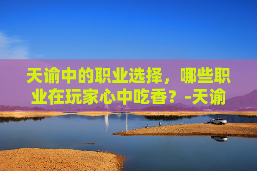 天谕中的职业选择，哪些职业在玩家心中吃香？-天谕什么职业副本吃香