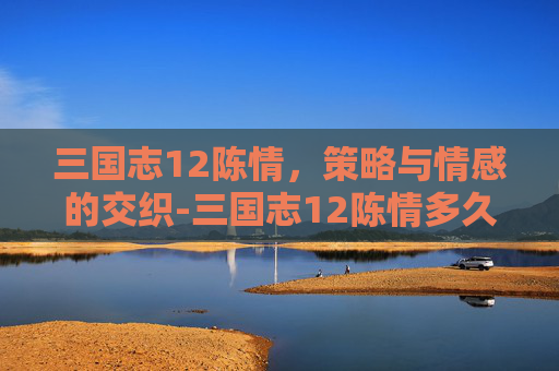 三国志12陈情，策略与情感的交织-三国志12陈情多久一次