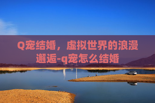 Q宠结婚，虚拟世界的浪漫邂逅-q宠怎么结婚
