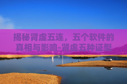 揭秘肾虚五连，五个软件的真相与影响-肾虚五种证型图解