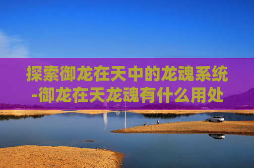 探索御龙在天中的龙魂系统-御龙在天龙魂有什么用处
