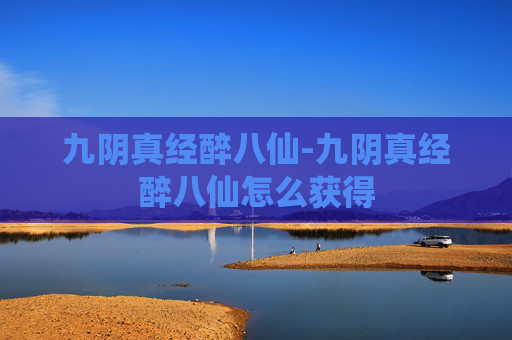 九阴真经醉八仙-九阴真经醉八仙怎么获得