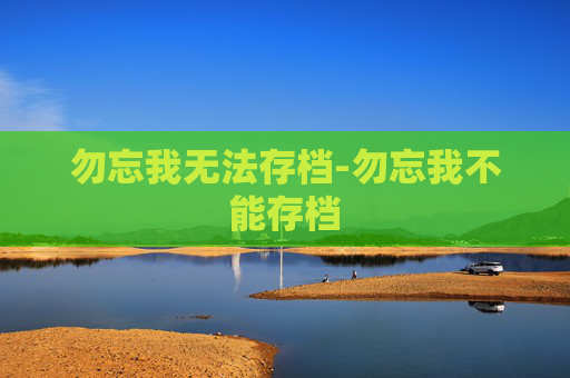 勿忘我无法存档-勿忘我不能存档