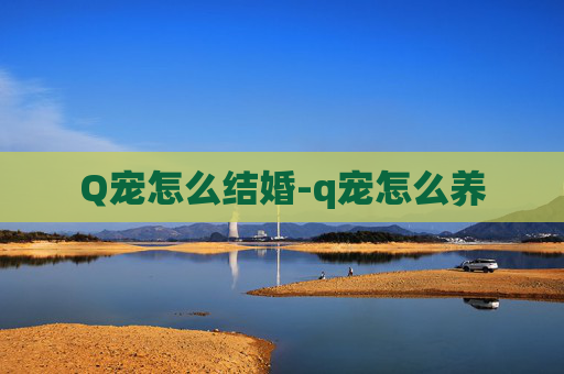 Q宠怎么结婚-q宠怎么养