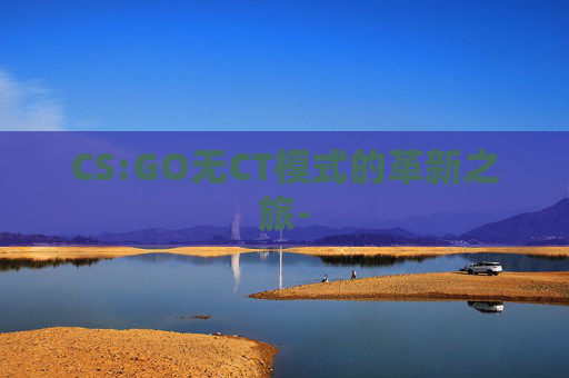 CS:GO无CT模式的革新之旅-