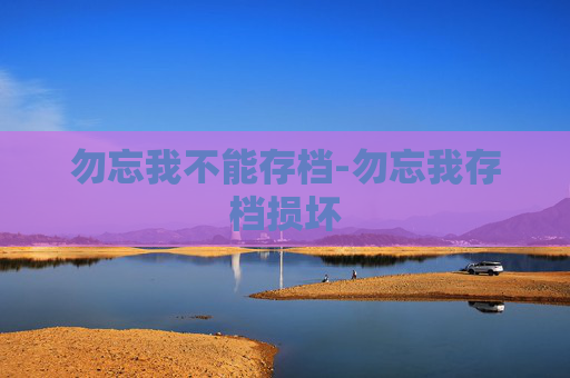 勿忘我不能存档-勿忘我存档损坏