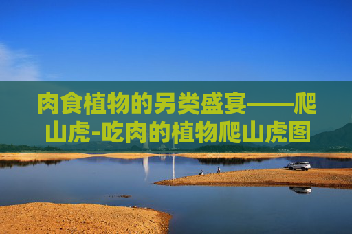 肉食植物的另类盛宴——爬山虎-吃肉的植物爬山虎图片 肉食植物的另类盛宴——爬山虎-吃肉的植物爬山虎图片