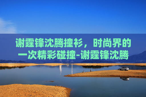 谢霆锋沈腾撞衫，时尚界的一次精彩碰撞-谢霆锋沈腾撞衫图片