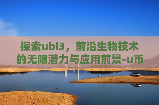 探索ubi3，前沿生物技术的无限潜力与应用前景-u币3000怎么够买