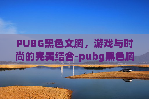 PUBG黑色文胸，游戏与时尚的完美结合-pubg黑色胸罩