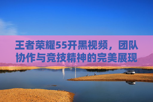 王者荣耀55开黑视频，团队协作与竞技精神的完美展现-王者荣耀 55开黑