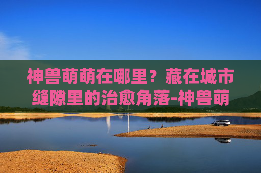 神兽萌萌在哪里？藏在城市缝隙里的治愈角落-神兽萌萌哒介绍