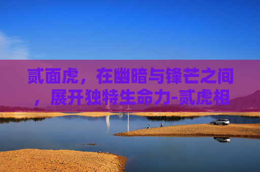 贰面虎，在幽暗与锋芒之间，展开独特生命力-贰虎相斗无一伤是什么生肖