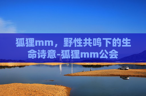 狐狸mm，野性共鸣下的生命诗意-狐狸mm公会