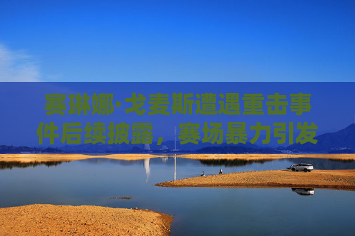 赛琳娜·戈麦斯遭遇重击事件后续披露，赛场暴力引发的公共反思-赛琳娜戈麦斯尴尬剧情