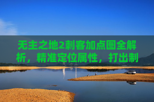 无主之地2刺客加点图全解析，精准定位属性，打出制胜法则-无主之地2刺客加点图片
