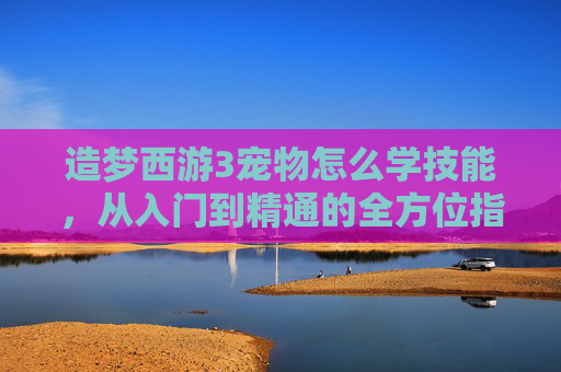 造梦西游3宠物怎么学技能，从入门到精通的全方位指南-造梦西游3宠物学技能技巧