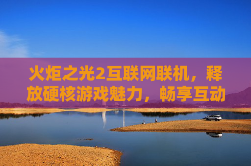 火炬之光2互联网联机，释放硬核游戏魅力，畅享互动冒险新体验-火炬之光2互联网联机防火墙错误