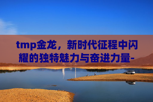 tmp金龙，新时代征程中闪耀的独特魅力与奋进力量-tmp大金龙