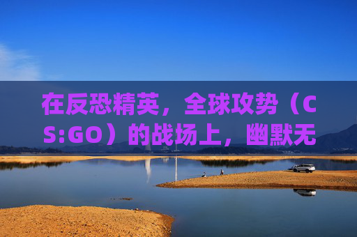 在反恐精英，全球攻势（CS:GO）的战场上，幽默无处不在-csgo搞笑短片