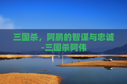 三国杀，阿鹏的智谋与忠诚-三国杀阿伟