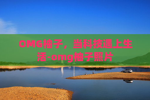 OMG柚子，当科技遇上生活-omg柚子照片
