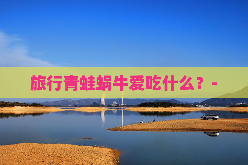 旅行青蛙蜗牛爱吃什么?- 旅行青蛙蜗牛爱吃什么?-