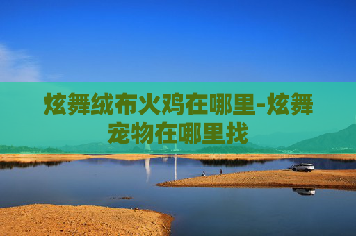 炫舞绒布火鸡在哪里-炫舞宠物在哪里找