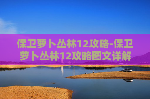 保卫萝卜丛林12攻略-保卫萝卜丛林12攻略图文详解