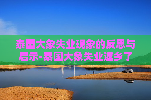 泰国大象失业现象的反思与启示-泰国大象失业返乡了吗现在怎么样 泰国大象失业现象的反思与启示-泰国大象失业返乡了吗现在怎么样