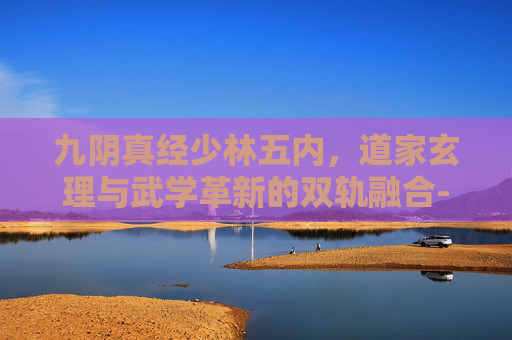九阴真经少林五内，道家玄理与武学革新的双轨融合-九阴真经少林五内特效