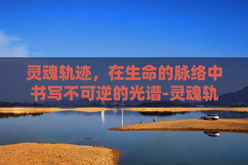 灵魂轨迹,在生命的脉络中书写不可逆的光谱-灵魂轨迹图文攻略 灵魂轨迹,在生命的脉络中书写不可逆的光谱-灵魂轨迹图文攻略