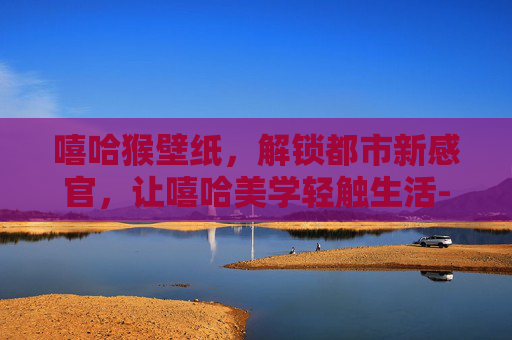 嘻哈猴壁纸，解锁都市新感官，让嘻哈美学轻触生活-嘻哈猴手机壁纸