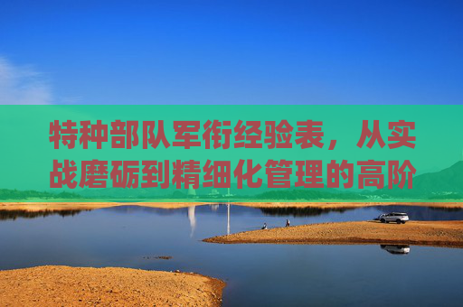 特种部队军衔经验表，从实战磨砺到精细化管理的高阶指引-特种部队军衔经验表_第1集
