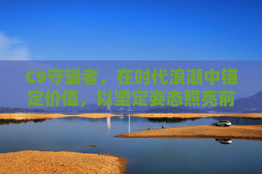 C9守望者，在时代浪潮中锚定价值，以坚定姿态照亮前行之路-c9守望者技能效果