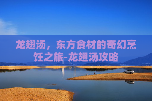 龙翅汤，东方食材的奇幻烹饪之旅-龙翅汤攻略