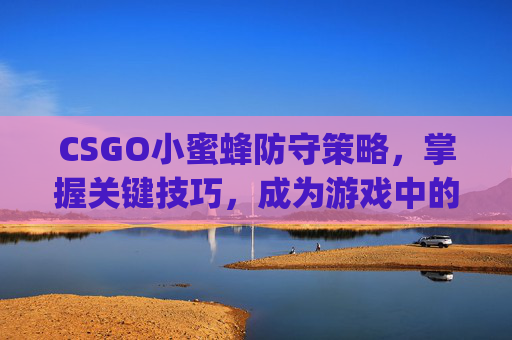 CSGO小蜜蜂防守策略，掌握关键技巧，成为游戏中的守护者-csgo小蜜蜂打navi
