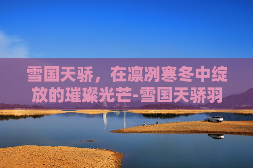 雪国天骄，在凛冽寒冬中绽放的璀璨光芒-雪国天骄羽绒服