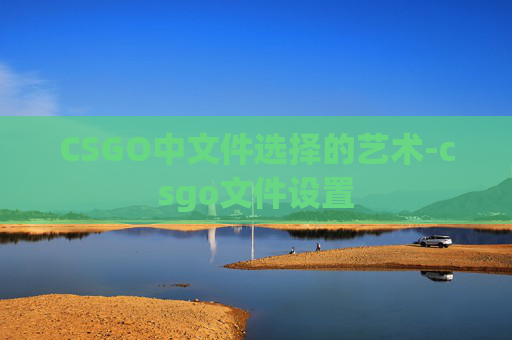 CSGO中文件选择的艺术-csgo文件设置